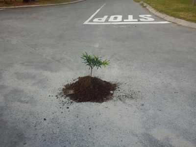No end to potholes and patches